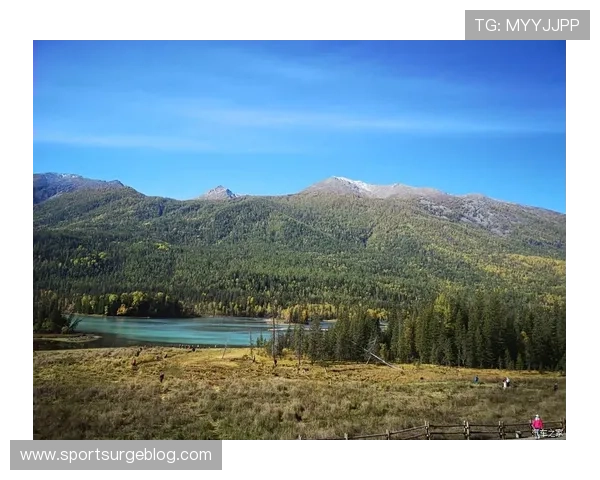 尊龙z6.com网站登录入口最新官方入口地址及安全登录指南