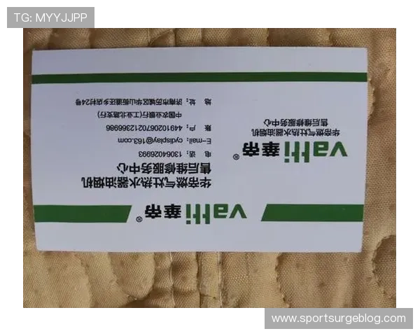 尊龙凯时平台怎么样平台的用户服务和售后支持是否及时专业