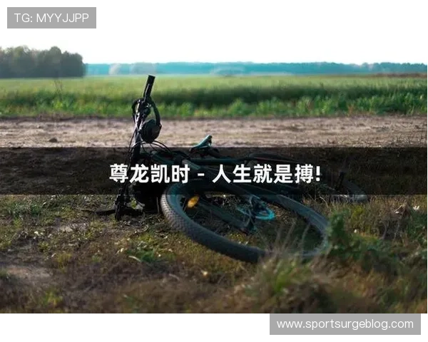 尊龙铠时人生就是搏：解析游戏中的勇士精神如何激励玩家迎接人生挑战