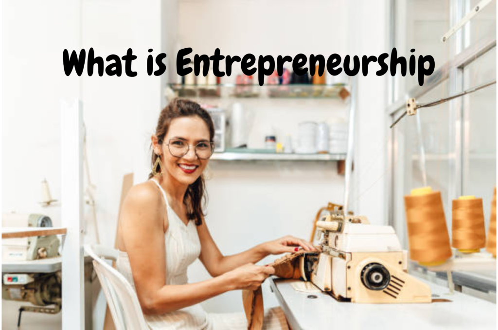 What is Entrepreneurship